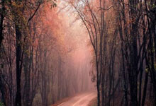 爱游戏官方-比利时红魔新生！欧国联惊现最强黑马