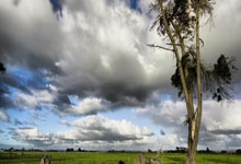 爱游戏入口-布宜诺斯艾利斯独立迎战利物浦，防守反击或成致胜关键