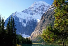 爱游戏官方-阿尔艾因球迷现场助威，激发球队夺冠斗志