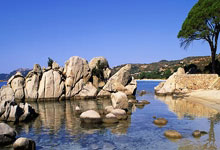 爱游戏官方-比利时红魔新生！欧国联惊现最强黑马