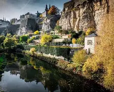 卢森堡游泳选手在泳道上灵动如猛犸象