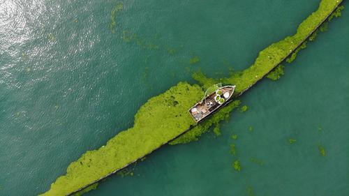 青岛黄海主场大捷,士气爆发取得胜利 青岛黄海主场大捷,士气爆发取得胜利